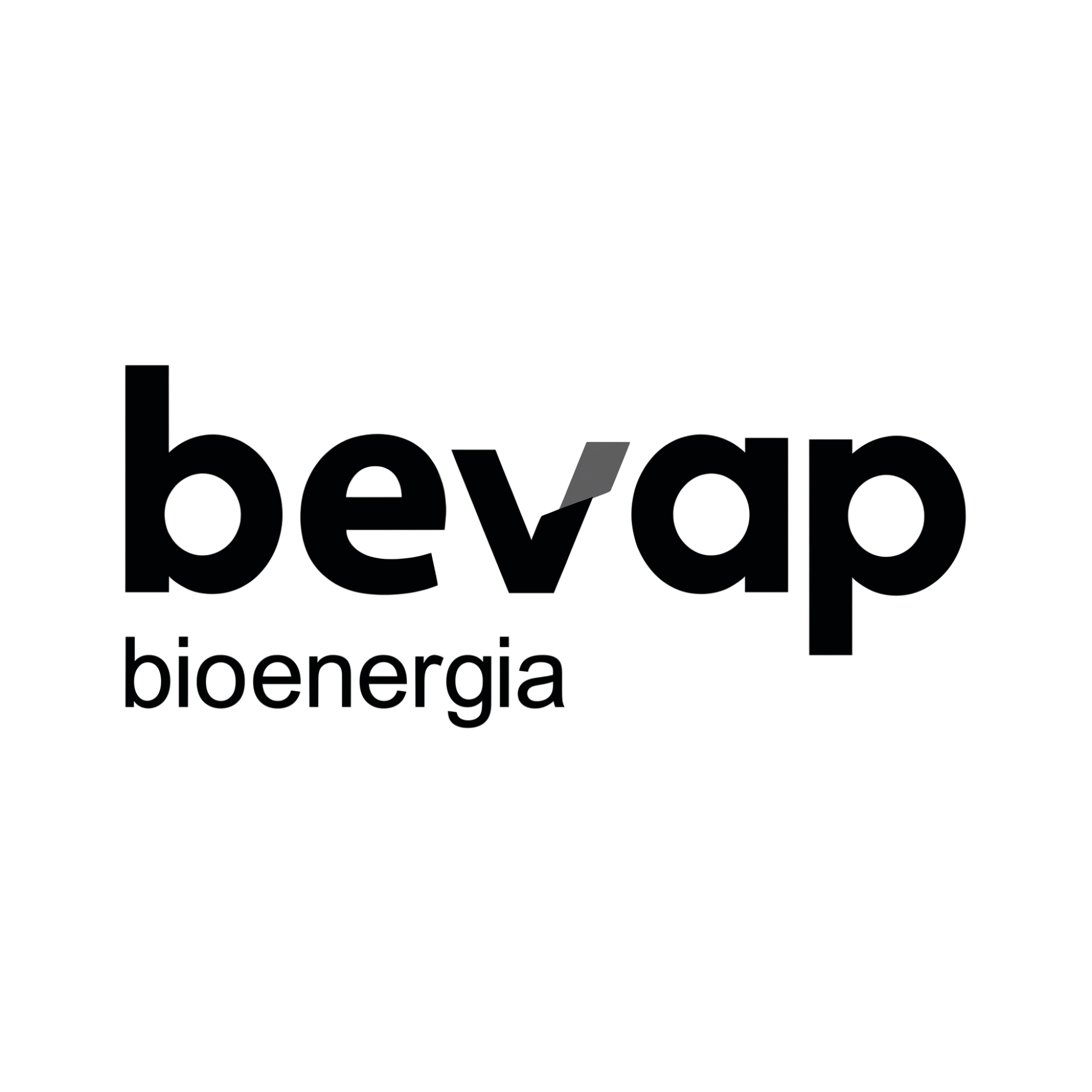 Logo da empresa Bevap
